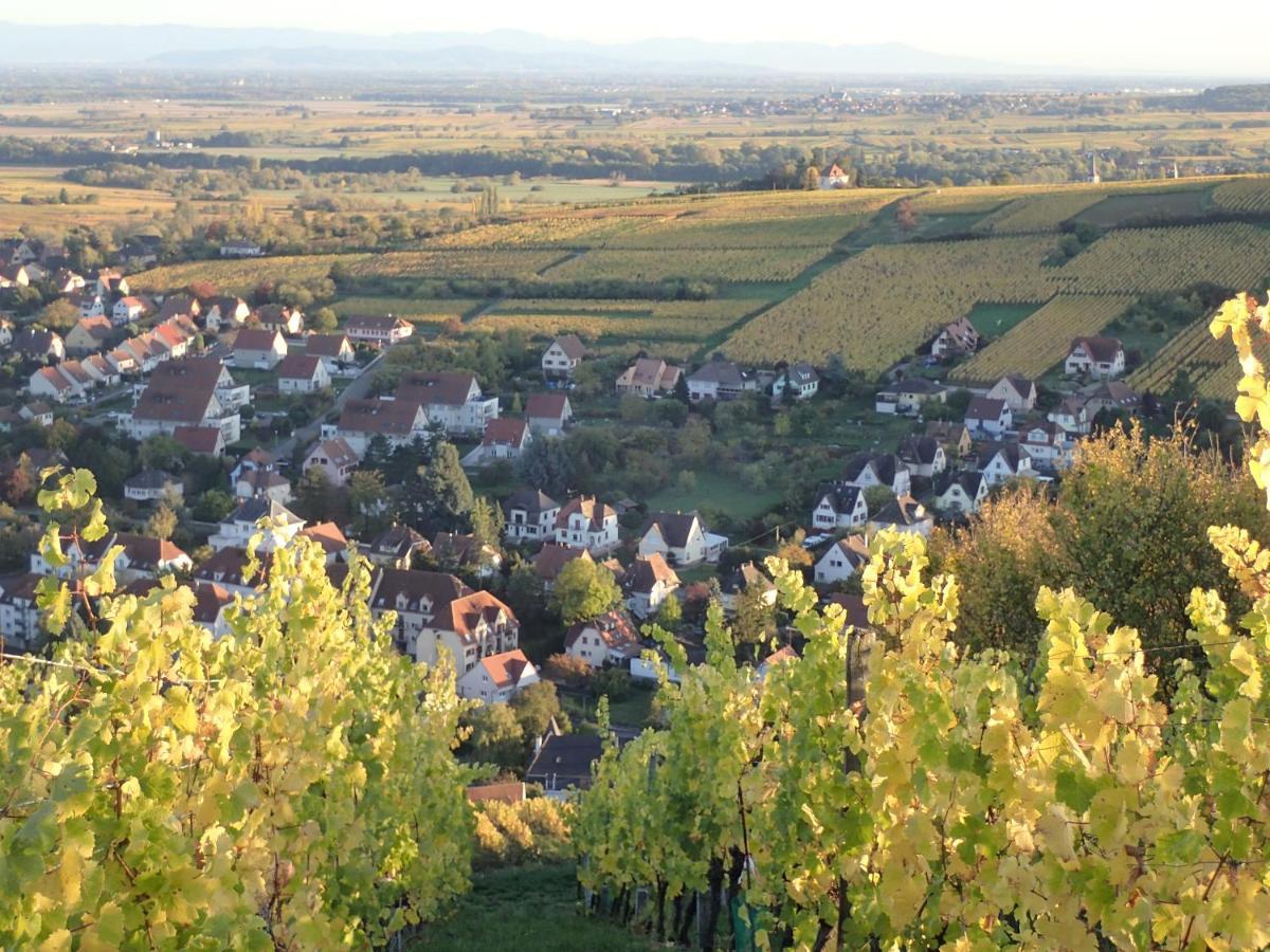 Villa/Appartement Au Coeur Des Vignes *** Барр Экстерьер фото